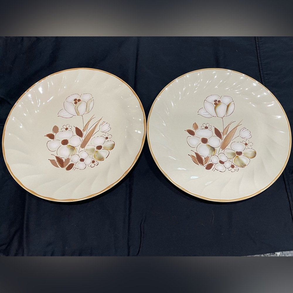 Felicity Sculptura Hearthside Stoneware Dinner Plates 10.5 in Set of 2 Vintage